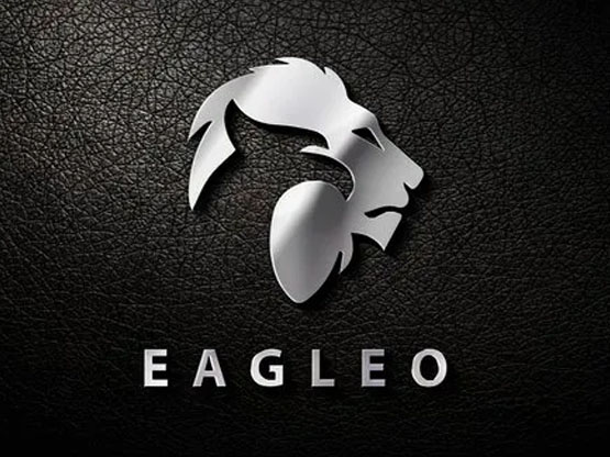 Web Development Project